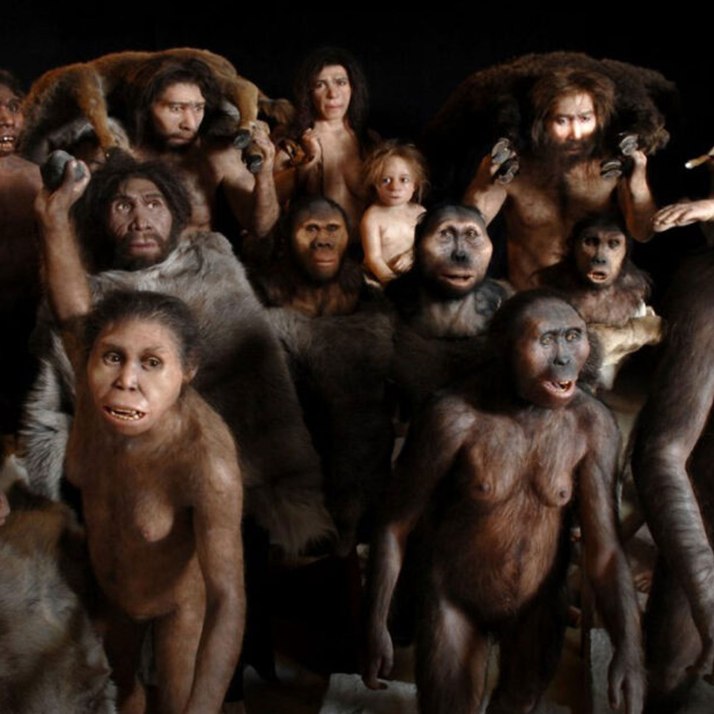 Os Hominíneos episode artwork
